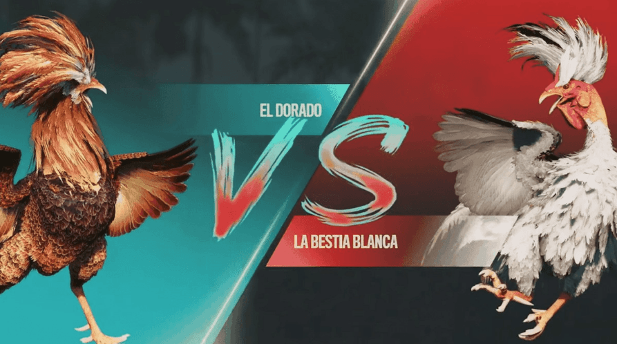 356x Plataforma de Slots